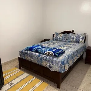 https://dinosaur-anza-surf-house.agadirhotels.org